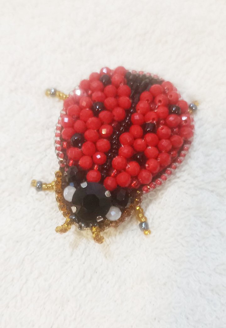 Broșă „Buburuză”